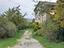 Immagine 5