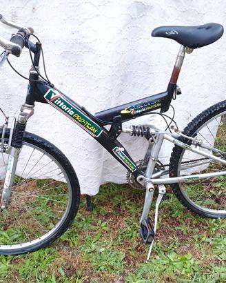 Mountain bike Douglas - Vittoria Pro-Team