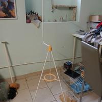 Portagabbie per uccello