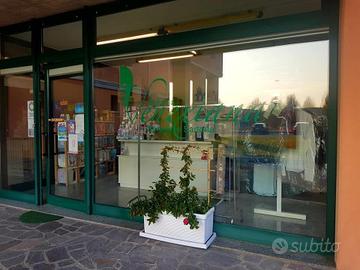 Attività avviata pulitura