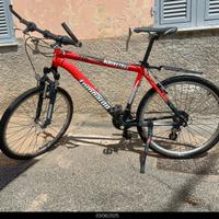 Bici mountain bike uomo