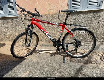 Bici mountain bike uomo