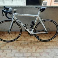 bici da corsa fontana