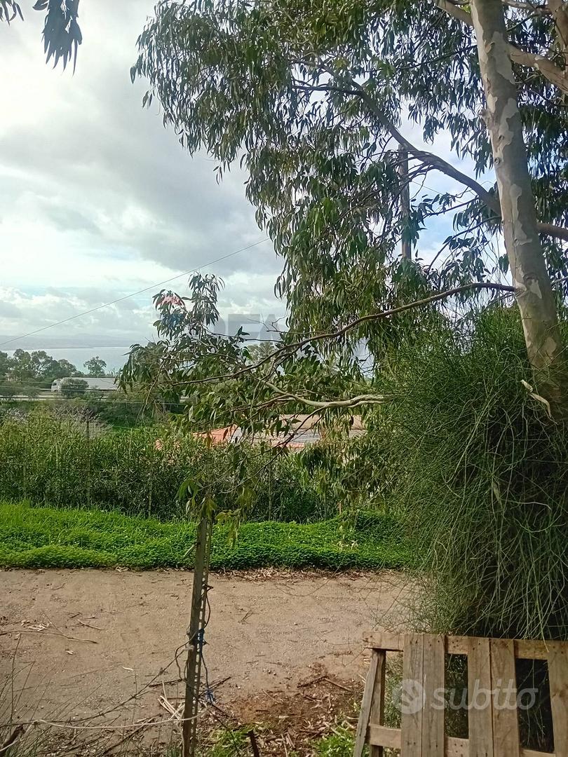 Terreno - Terrasini - Vista 4