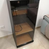 Mobile hi-fi Piooner