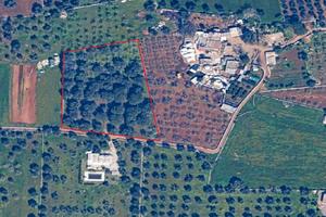 Terreno campagne di ostuni