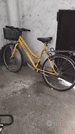 Mountain bike donna