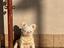 Immagine 4