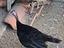 Immagine 6