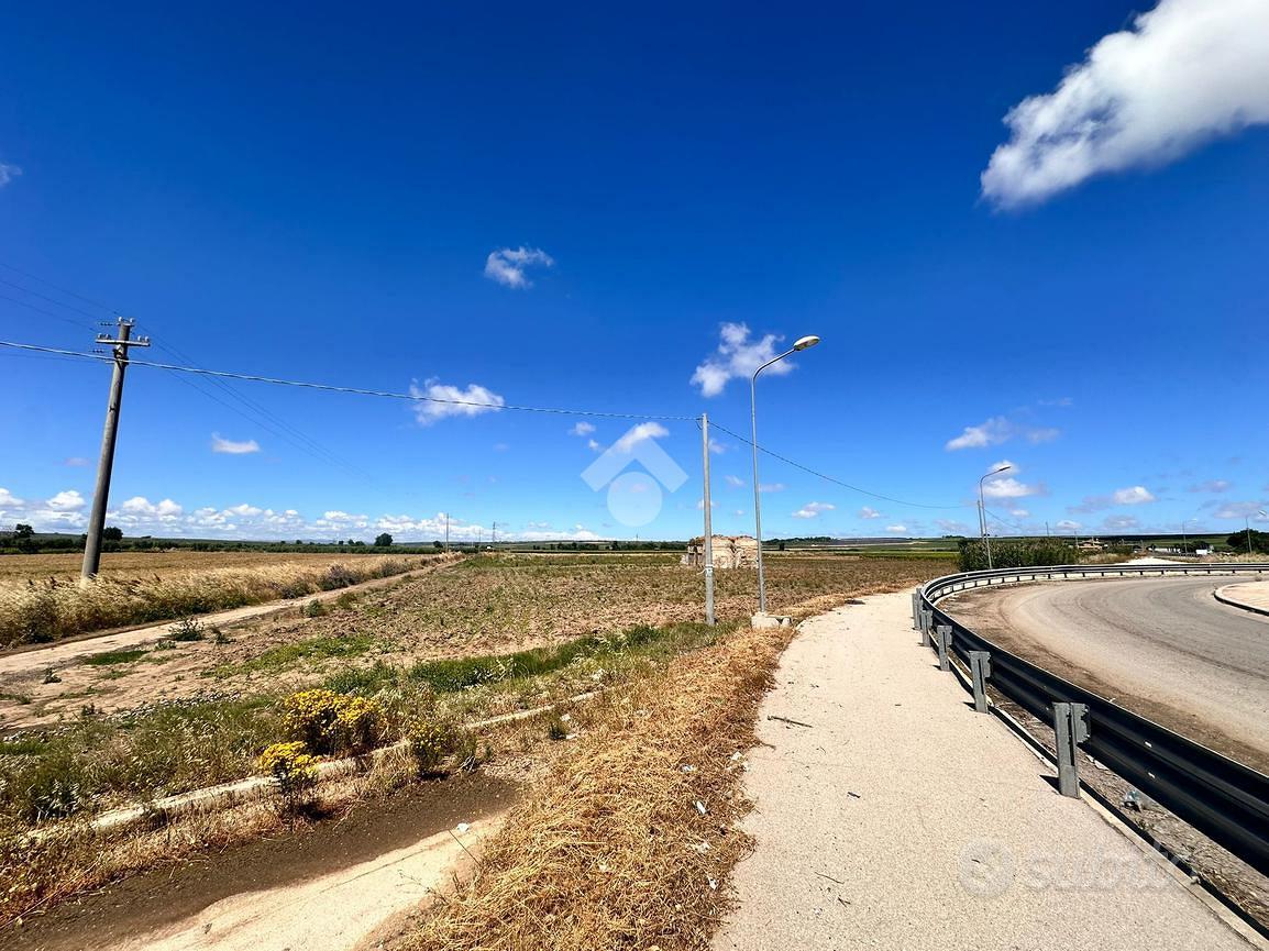 TER. AGRICOLO A SAN SEVERO - Vista 3