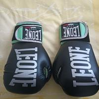 GUANTONI E PARASTINCHI LEONE