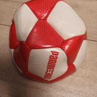Pallone Calcio Panini Fit360 Taglia 5 bianco rosso