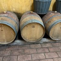 botte per vino