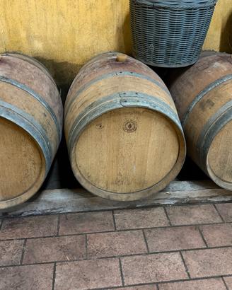 botte per vino