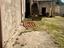 Immagine 12