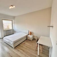 Camere singole in trilocale Grugliasco centro