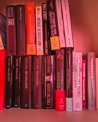 Lotto Libri Thriller e Narrativa