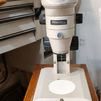 Stereomicroscopio Nikon SMZ 2T