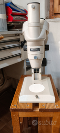 Stereomicroscopio Nikon SMZ 2T