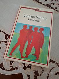 Fontamara libro
