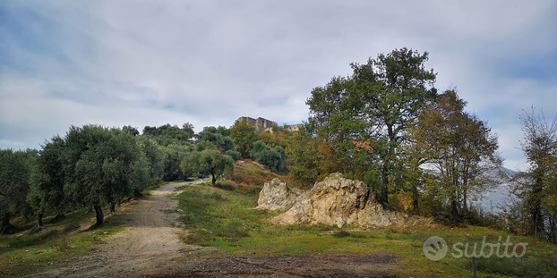 Terreno agricolo con rudere