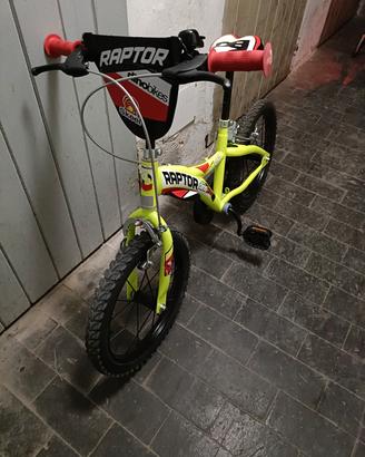Bicicletta bimbo Raptor Dino 14 pollici