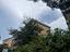 Immagine 21