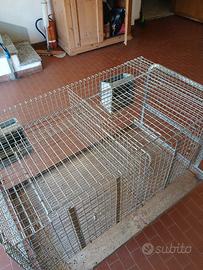 gabbia per conigli fattrici.