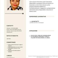 Pulizie,Addetta al confezionamento,magazzino