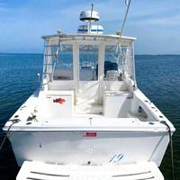 Luhrs 28 open