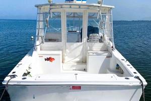 Luhrs 28 open