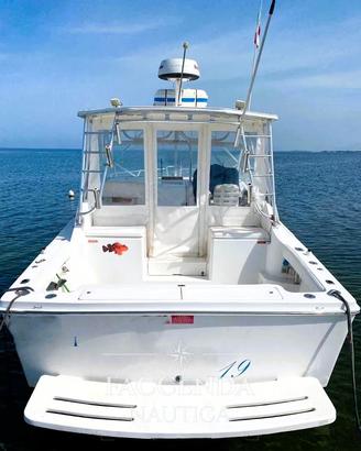 Luhrs 28 open