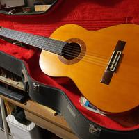 chitarra