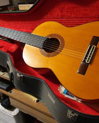 chitarra