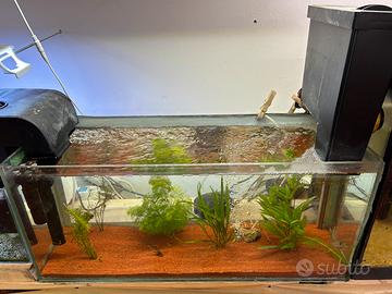 acquario 60 litri