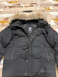 canada goose