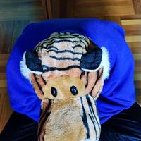 maschere e articoli per Halloween