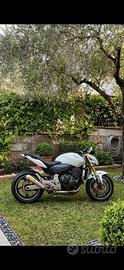 Hornet 600