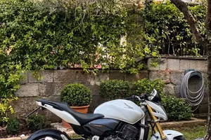 Hornet 600