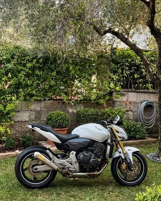 Hornet 600