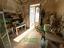 Immagine 15