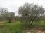 Immagine 11