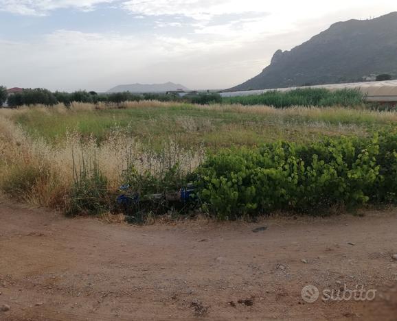 Terracina zona San Silviano terrenoagricolo2.200