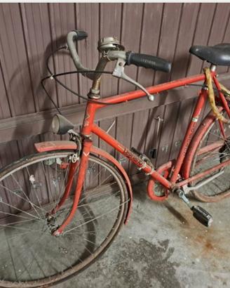 Bicicletta vintage da passeggio