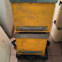 Materiale apistico - arnie da 6 e da 10 e c