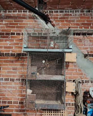 Voliere di diverse dimensioni