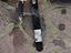 Immagine 4