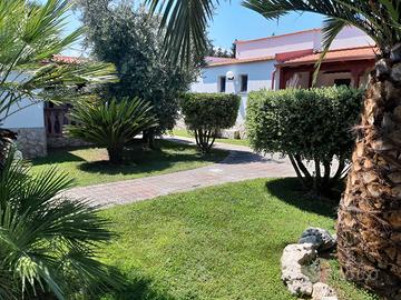 Ultimi posti Gargano Peschici Puglia 22/08 in poi