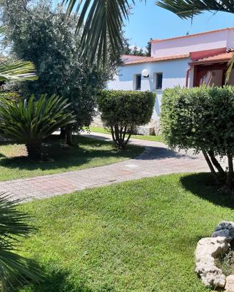 Ultimi posti Gargano Peschici Puglia 22/08 in poi
