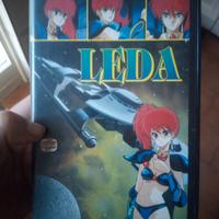 VHS ANIME LEDA, Discrete condizioni 